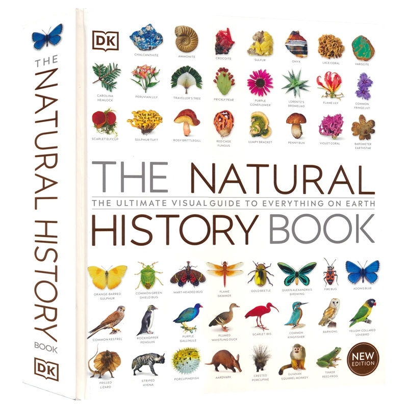 DK 博物大百科新版 自然史图解丛书英文原版 The Natural History Book 科普全书读物 儿童英语科学认知指南大开精装 植物动物图鉴