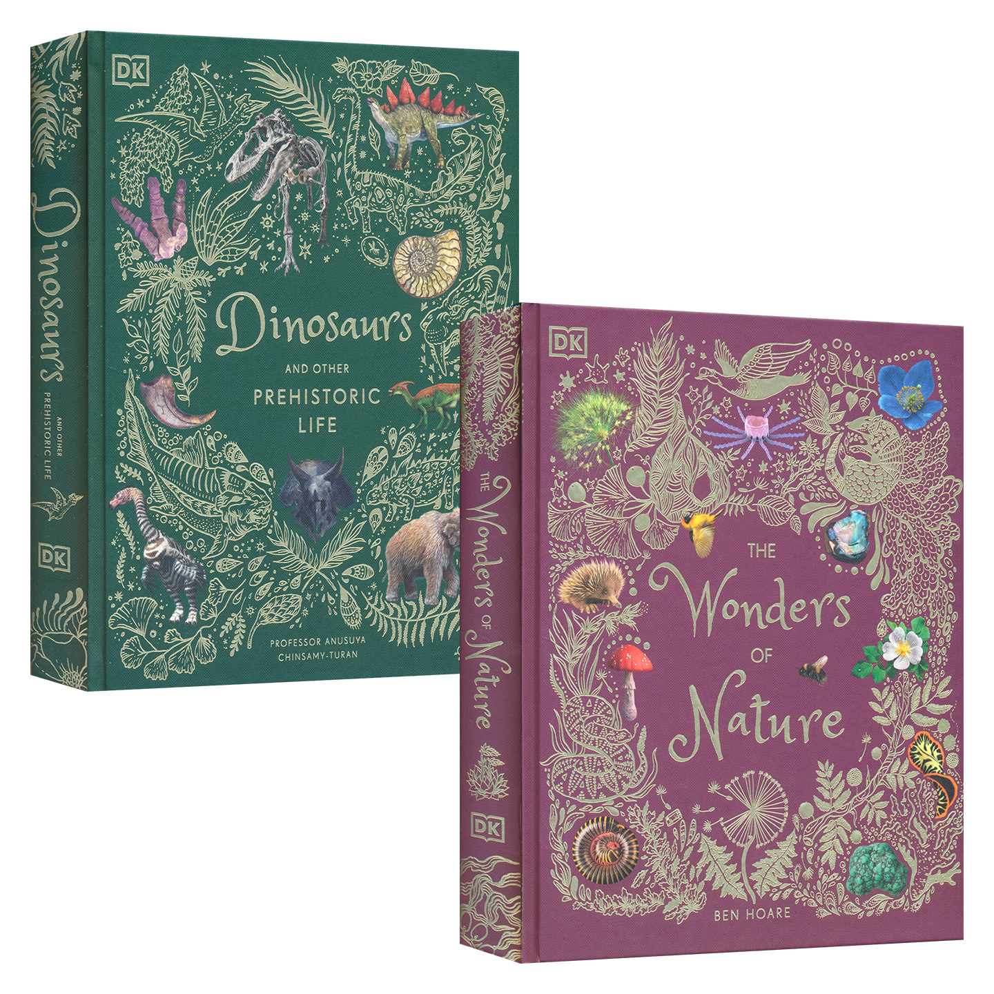 DK Dinosaurs and Other Prehistoric Life 恐龙与其他史前生物 The Wonders of Nature 自然奇观 百科科普 英文原版进口图书