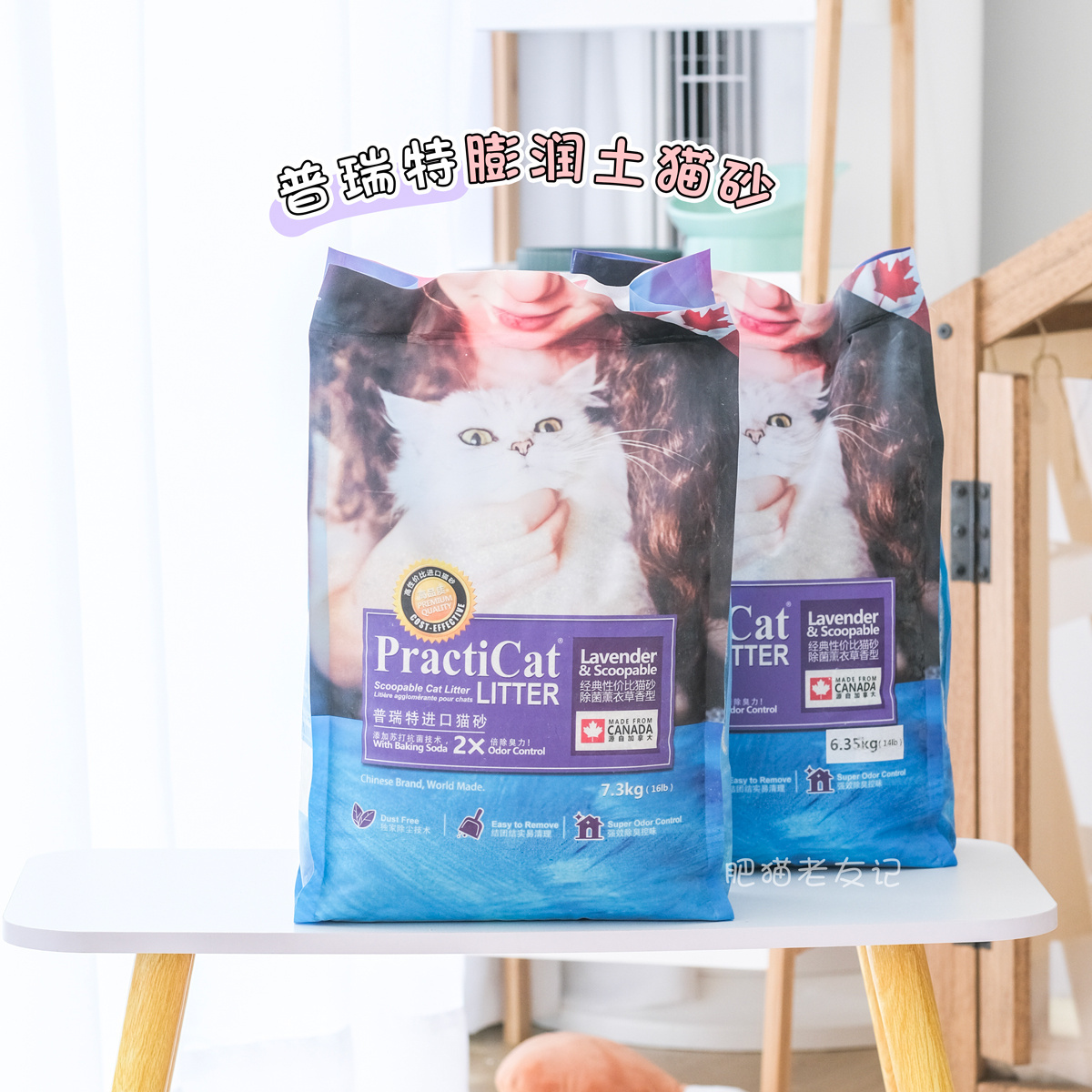 加拿大普瑞特无香结团膨润土包邮