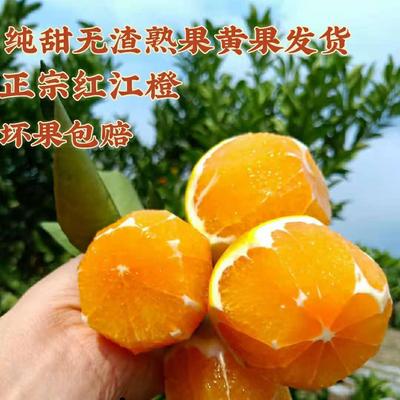 红江橙广西正宗红江橙