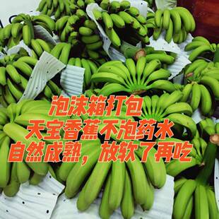 个头不大，介意慎拍！天宝香蕉自然成熟香甜软糯