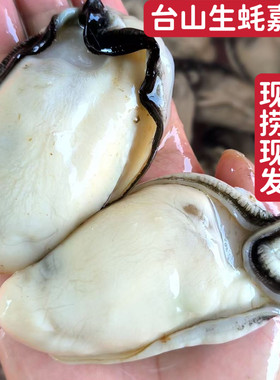 台山大生蚝肉去壳鲜活特大肥美