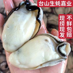 1斤正宗台山大生蚝肉去壳鲜活特大肥美海鲜产地直供新鲜水产生蚝