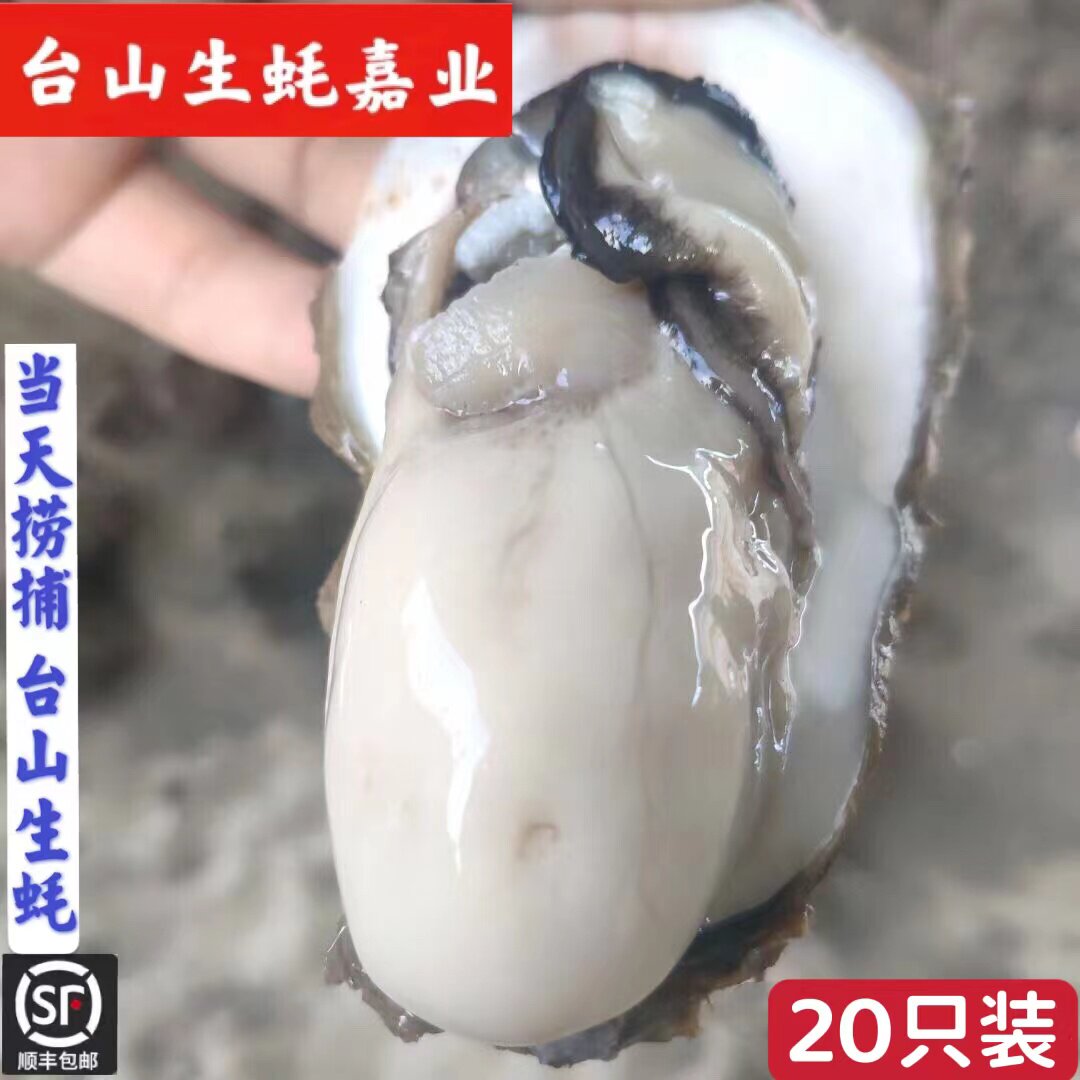 20只广东台山生蚝鲜活非乳生蚝牡蛎套餐海鲜水产带壳生吃烧烤生蚝