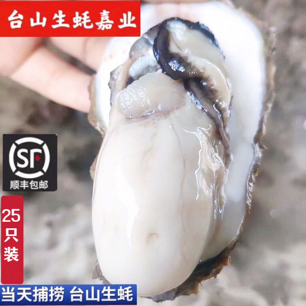 25只广东台山生蚝鲜活非乳生蚝牡蛎套餐海鲜水产带壳生吃烧烤生蚝