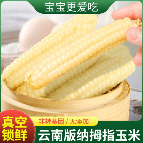 拇指玉米新鲜糯宝宝手指小玉米儿童即食苞谷云南西双版纳孕妇苞米