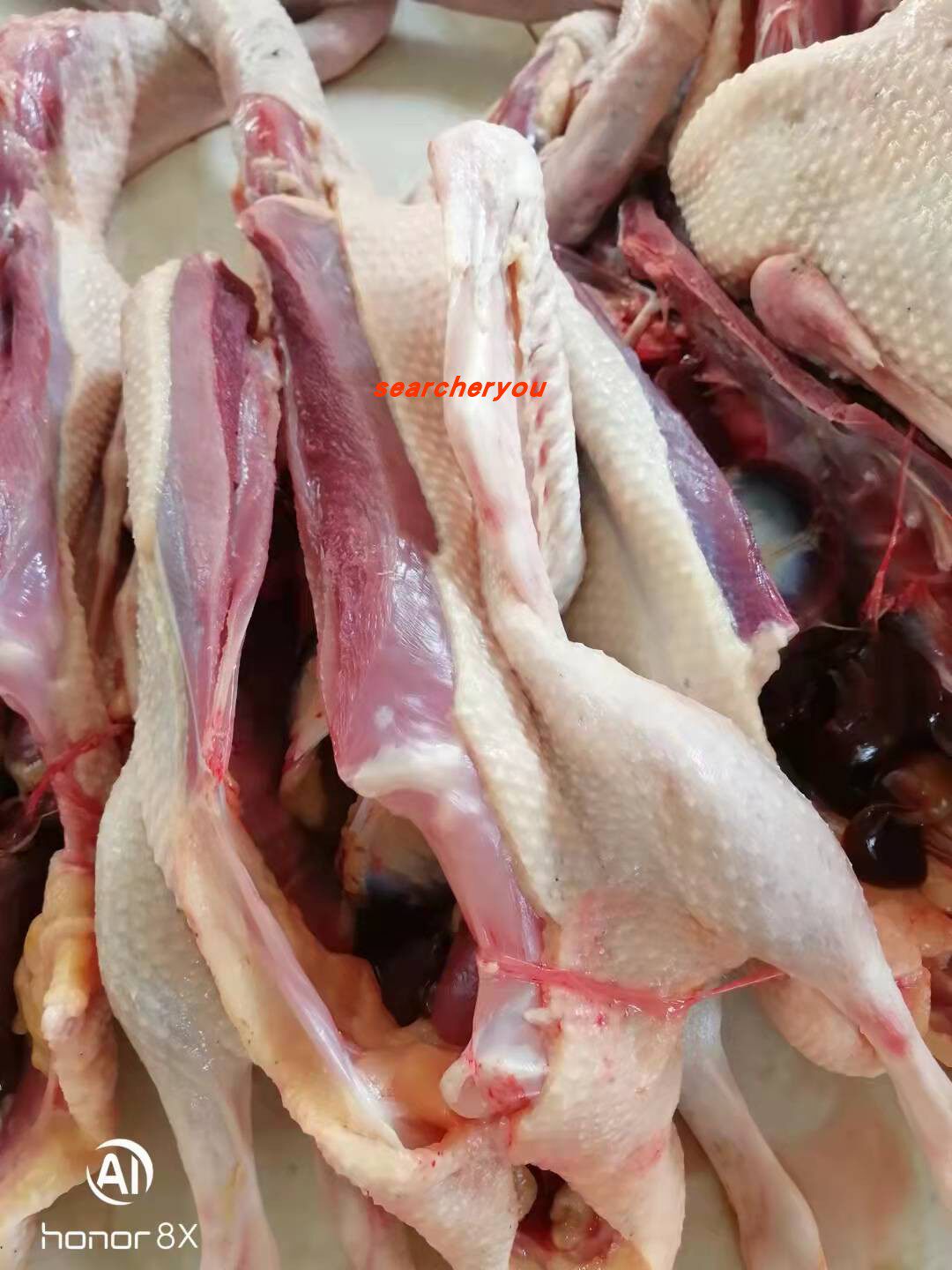农家散养新鲜现杀扬州鹅肉