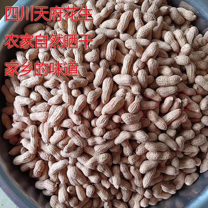 四川宜宾自然晒干带壳天府生花生农家粉新花生米新货可发芽做种子