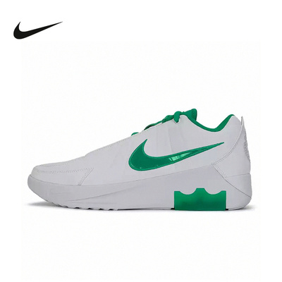 NIKE耐克男鞋詹姆斯LEBRON WITNESS IX实战运动篮球鞋HQ8035-101