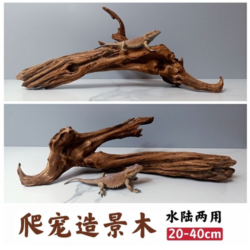 造景躲避枯木爬宠纯天然