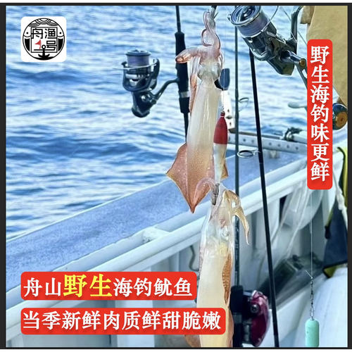 【佩佩家海鲜】海钓野生硬皮鱿鱼 Q弹饱满肉质紧致