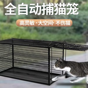 绿净捕猫神器驱赶猫咪