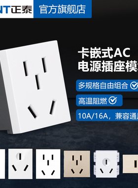 正泰118型NEW5D钢架炫白色 可插二三极插座 小五孔电源插座模块