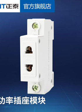 正泰 开关 插座 AC30系列/正泰 插座/AC30-103/正泰 10A二孔插座