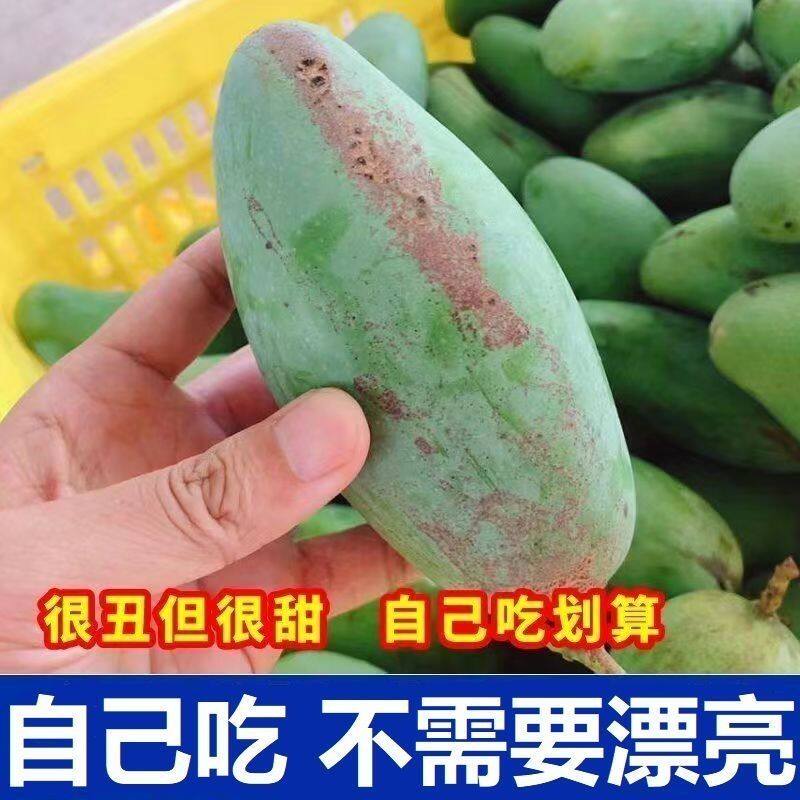 【正宗桂七芒】广西田东花皮桂七芒果大果当季香芒新鲜水果