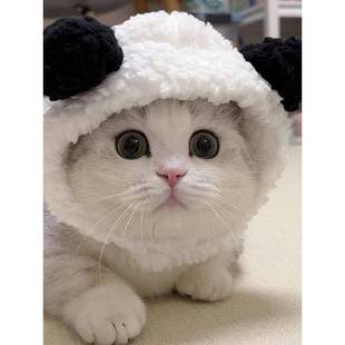 马尔济斯专用帽子宠物小狗狗约克夏秋冬季冬天戴的保暖头套小型犬