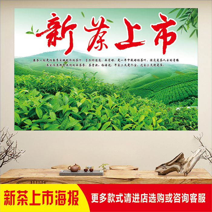 茶叶店新茶上市春茶上新宣传广告