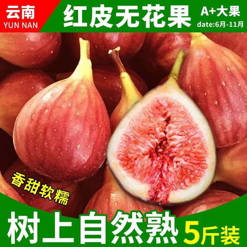 【现货一级大果】5斤云南红皮无花果新鲜紫皮孕妇水果整箱包邮10