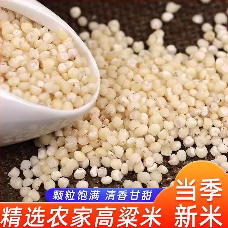 新高粱米云南农家去壳白高粱酿酒高粱米五谷杂粮粗粮大米粮油酿酒