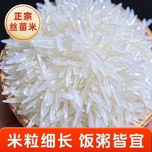 正宗长粒丝苗米晚稻新米优质农家大米口感弹牙美味 新米 当季