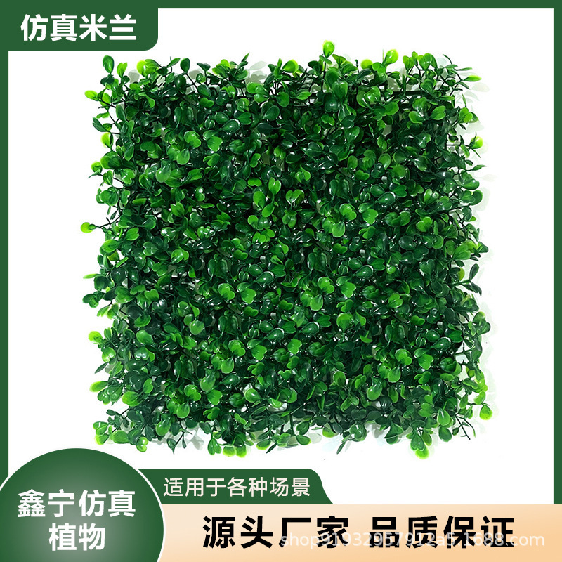 仿真米兰草坪仿真植物草坪植物墙面装饰塑料仿真植物墙米兰草坪