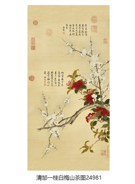 清邹一桂白梅山茶图卷轴花鸟画
