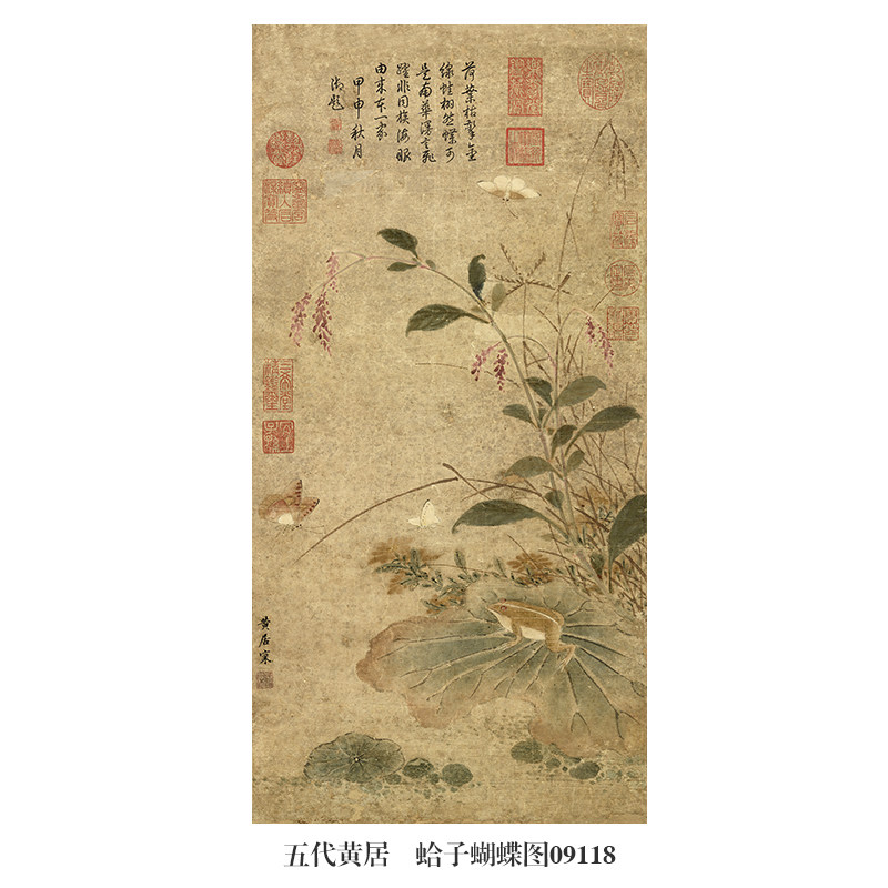 五代黄居寀蛤子蝴蝶图古代花鸟画书画中国画名画复制品仿古画挂画