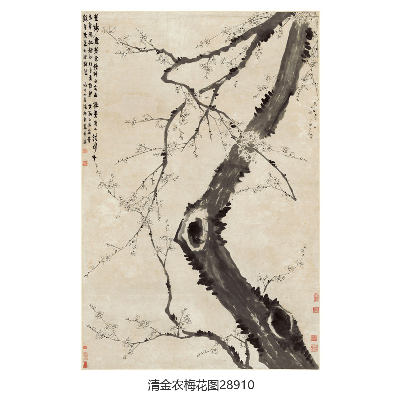 清金农梅花图水墨花鸟画墨梅图卷图片