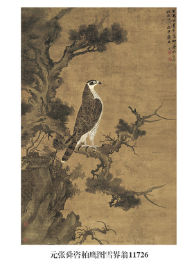 元张舜咨柏鹰图雪界翁古代花鸟画