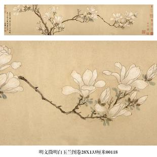 明文徵明白玉兰图卷花鸟画微喷仿古复制品新中式装饰画卷轴挂画