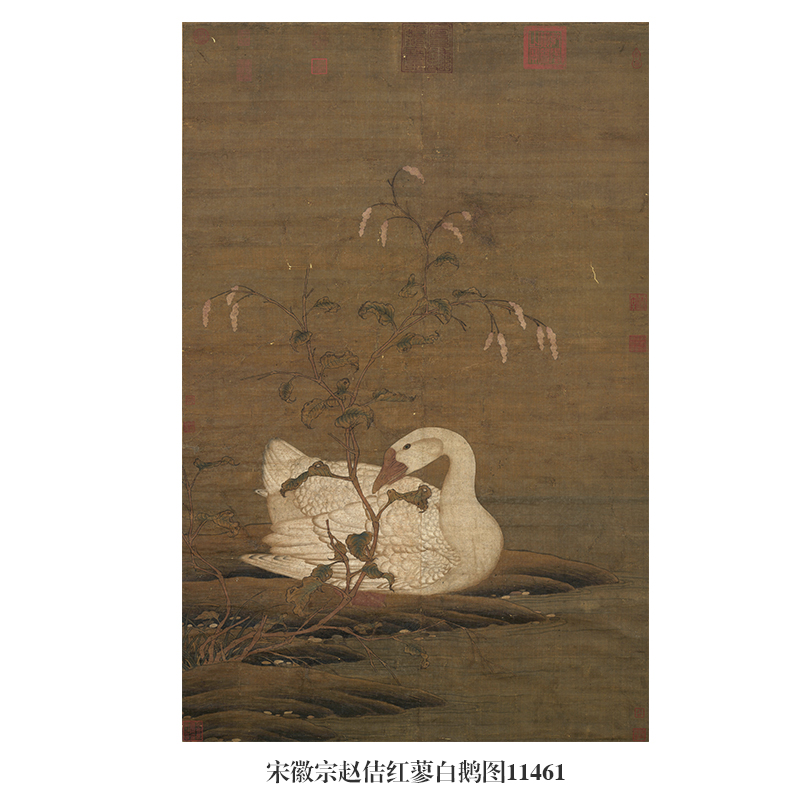 北宋徽宗赵佶红蓼白鹅图古代花鸟画卷轴国画名画复制品仿古画挂画 家居饰品 国画 原图主图