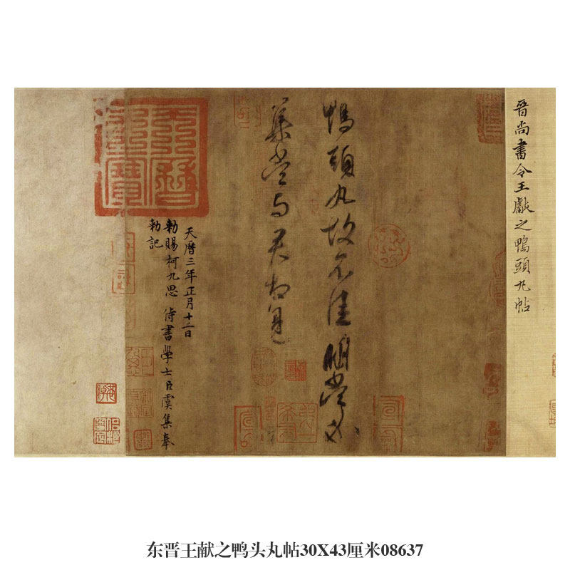 东晋王献之鸭头丸帖草书行书卷轴名帖书画仿古书法名人字画挂画