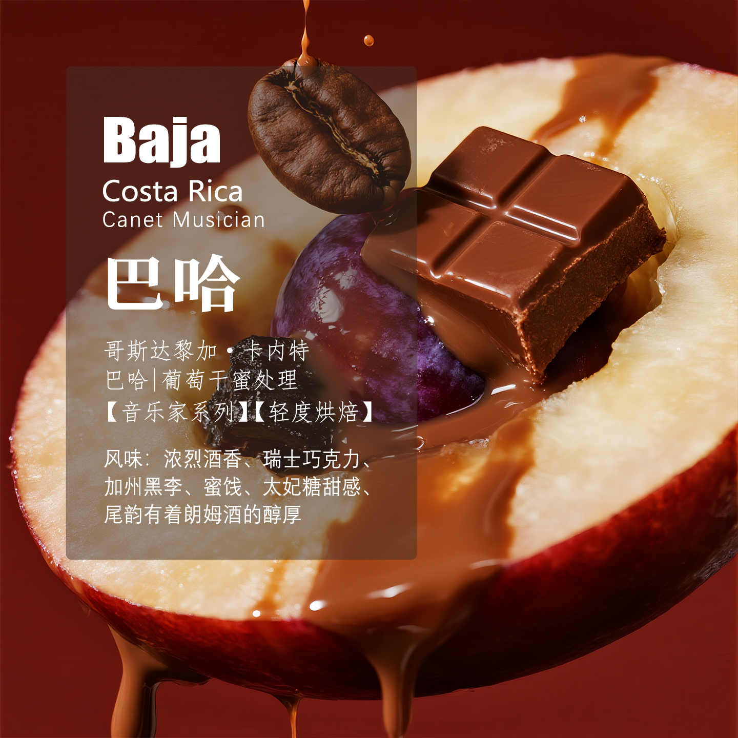 拾珈咖啡巴哈音乐家系列葡萄干蜜处理手冲单品咖啡豆精品黑咖啡