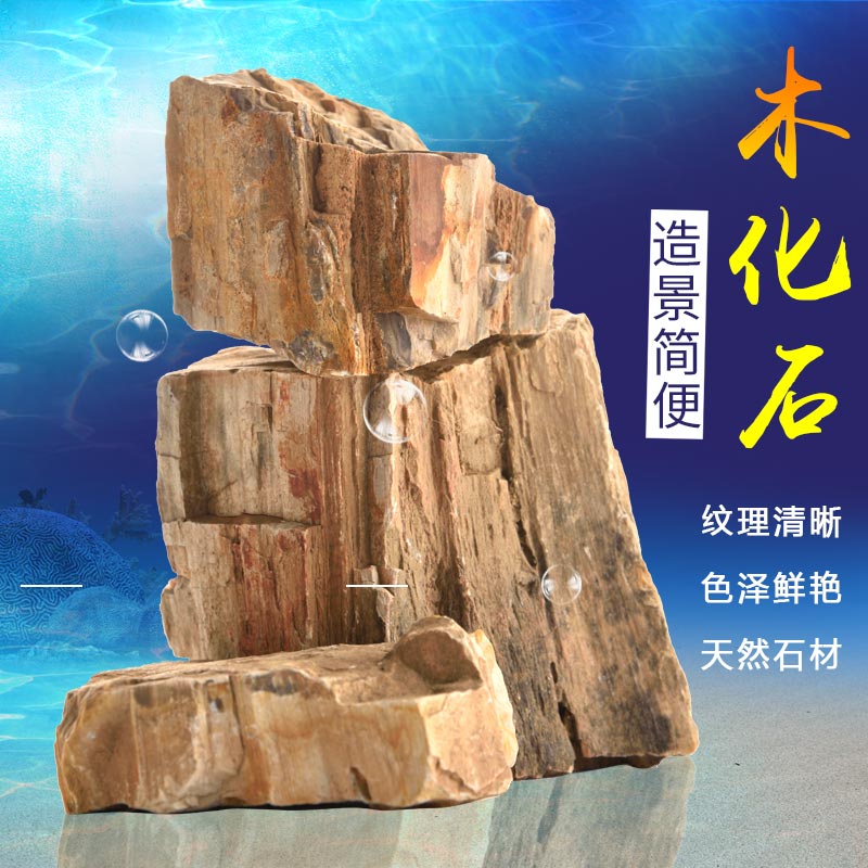 天然木化石硅化木青龙石松皮石鱼缸造景鱼缸造景石观赏摆件包邮