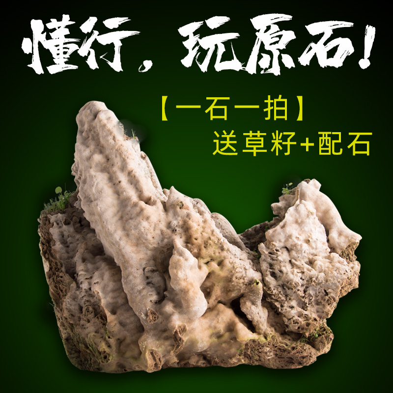 天然精品造景庭院客厅配饰吸水石