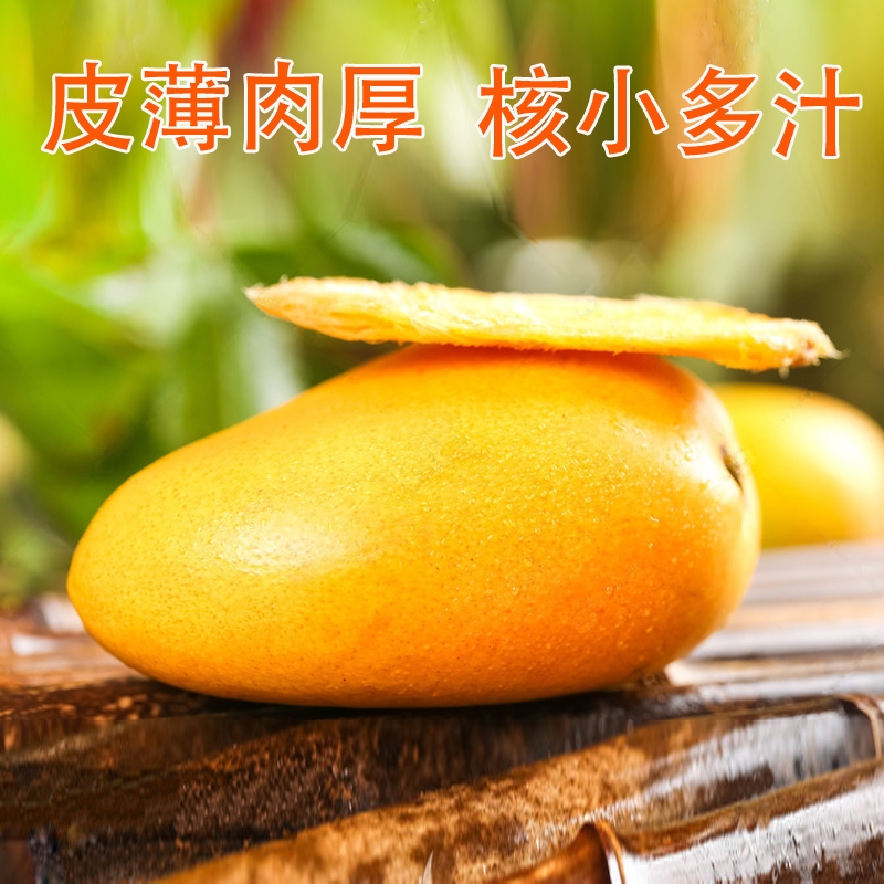 正宗海南小台农芒果5整箱10斤新鲜应季现摘热带水果时令芒果特产
