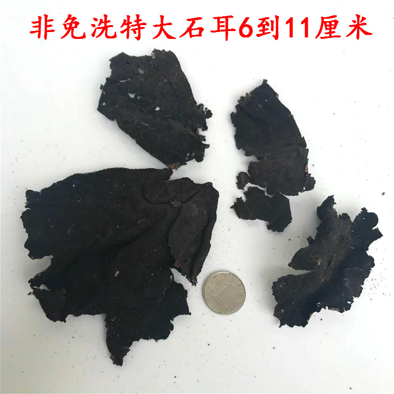 包邮九华山特产非免洗黄山新鲜石耳岩耳250g特价石衣干货特价