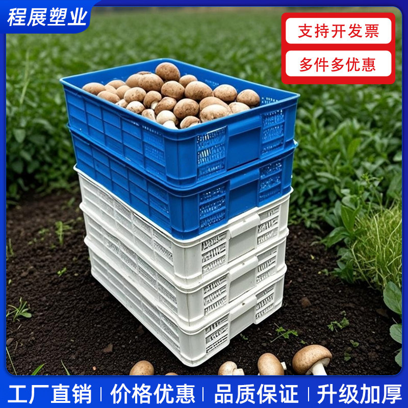 密眼小龙虾塑料框虾苗镂空筐小孔筐鸡苗框牛蛙河虾蟹蘑菇菌豆腐筐