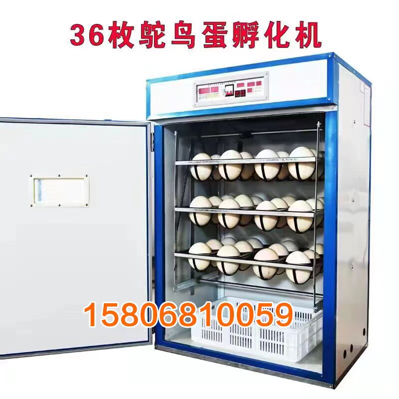 科裕孵化机非洲鸵鸟蛋专用孵化设备全自动智能珍禽特禽中型卵化器