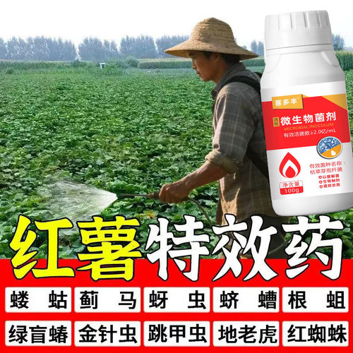 【红薯虫全灭】地上地下虫蚜虫钻心虫地蛆蓟马蚧壳虫蛴螬蝼蛄通杀