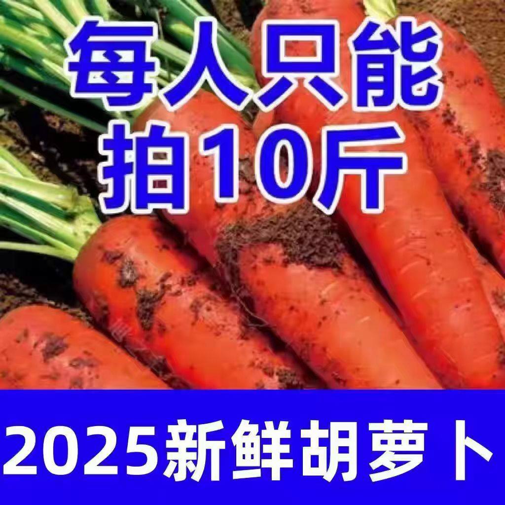 霜打水果脆甜胡萝卜沙地新鲜产地直发宝宝辅食现挖现发腌咸菜带泥