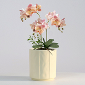 简约陶瓷花盆带托盘北欧风家用桌面蝴蝶兰发财树多肉绿植盆栽清仓