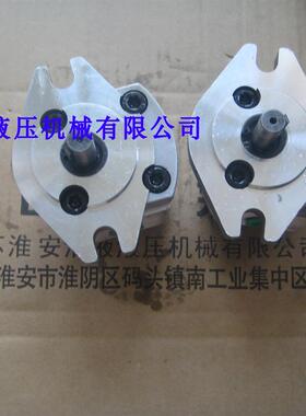 新款1GG1P01R/02R/03R/04R/0R5/06R/07R/08R/09R/11R齿轮泵包邮