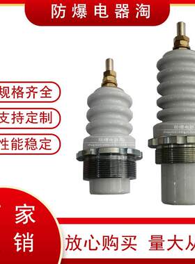 新款6KV/M12陶瓷高压侧矿用移动变压器高压瓷套管防爆接线柱包邮