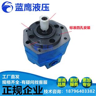 B40 B50 B63滤油机车内泄漏摆线泵 新款 包邮 摆线齿轮油泵BB