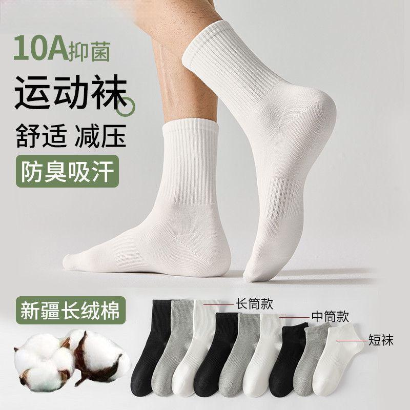 袜子男款10A抑菌防臭透气纯棉运动袜男女同款四季短中长纯色袜子
