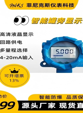 智能罐旁显示仪高精度挂壁式防爆就地显示数字数显雷达罐旁仪无源
