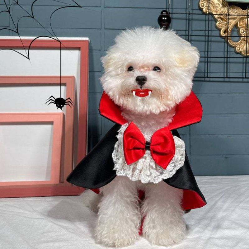 宠物万圣节吸血鬼披风cosplay小狗猫咪魔法斗篷披风衣服狗狗披风