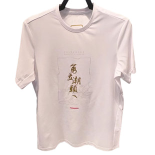 安踏勇立潮头短袖T恤男女上衣夏新款优可丝透气中国体恤172347101