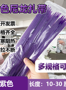 4x200 3*100 5*300紫色尼龙扎带束线带耐寒多规格绑带自锁式